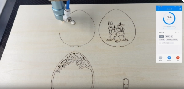 professionelle DIY CO2-Laserschneidmaschine